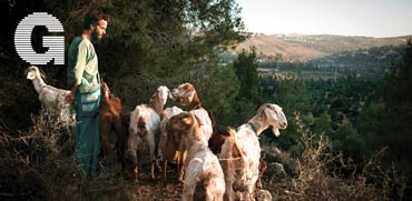 עין כרם, רומנטיקה של רועי עזים / צילומים: מיכל פתאל