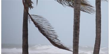 הוריקן "אירמה" מכה בפלורידה רוייטרס