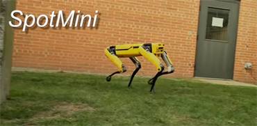 רובוט ספוט מיני. צילום מסך מתוך סרטון הוידאו