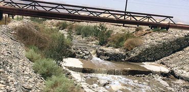 השפכים הזורמים בנחל אשלים / צילום: עודד נצר, אקולוג מחוז דרום, המשרד להגנת הסביבה