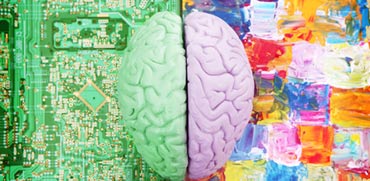 המוח הצרכני החדש / צילום: Shutterstock/ א.ס.א.פ קרייטיב