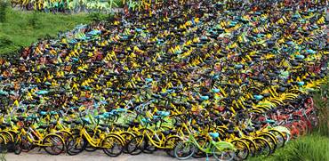 זוגות אופניים של OFO בסין / צילום: שאטרסטוק