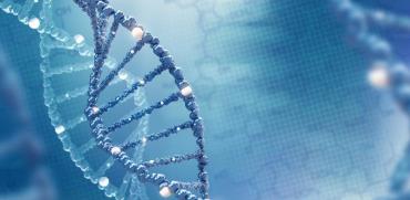 הגנטיקה תהפוך בלתי נפרדת מהרפואה ותשנה אותה לחלוטין/ צילום:Shutterstock/ א.ס.א.פ קרייטיב
