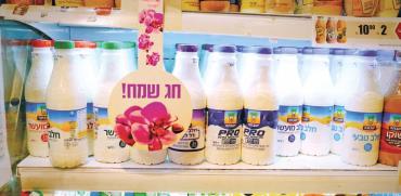 מוצרי חלב של תנובה / צילום: שלומי יוסף