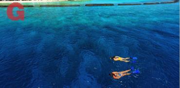 שנירקול באיים המלדיביים  /צילום באדיבות ספיריט הפקות עולם