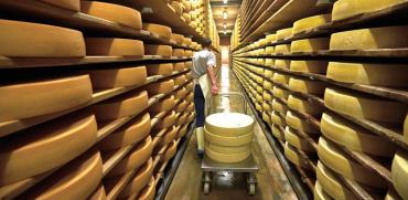 מפעל לייצור גבינה / צילום: רויטרס