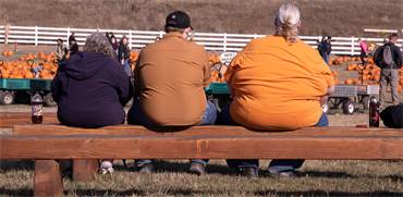 השמנת יתר קיצונית בארה"ב / אילוסטרציה: שאטרסטוק