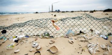 פסולת בחוף זיקים. מנגנון ההדחקה שלנו פועל היטב / צילום: רויטרס