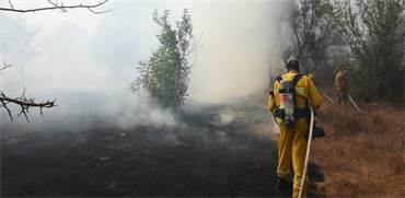השריפות בדרום / צילום: כבאות והצלה לישראל מחוז דרום