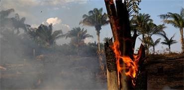 השריפה ביערות האמזונס בברזיל / צילום: Bruno Kelly, רויטרס