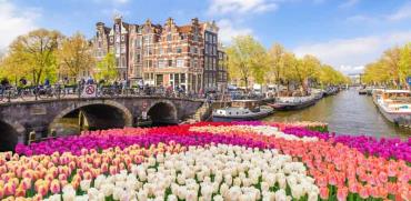 אמסטרדם / צילום: Shutterstock
