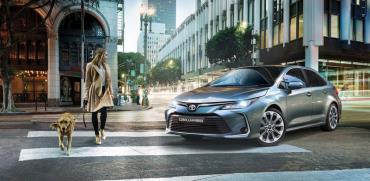 טויוטה קורולה  / צילום: יחצ