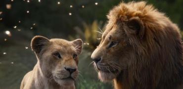 מלך האריות  / באדיבות פורום פילם