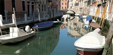 מים נקיים בתעלות ונציה לאחר העוצר שבה העיר נמצאת / צילום: מנואל סילבסטרי, רויטרס