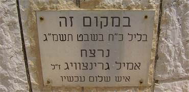 לוחית זיכרון לאמיל גרינצוויג בירושלים / צילום: dr. avishai teicher