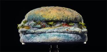 ההמבורגר מלא העובש בפרסומת של ברגר קינג / צילום: צילום מסך מפייסבוק