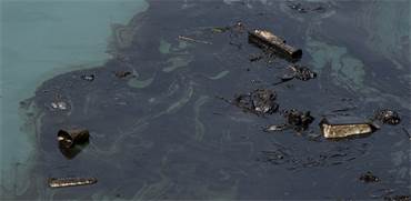 זיהום נפט בים / צילום: שאטרסטוק