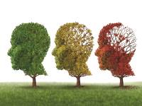 מערכת חיסון תקינה היא הסוד להרחקת אלצהיימר / צילום: Shutterstock/א.ס.א.פ קרייטיב