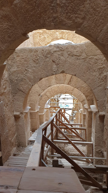חיושים מפתעים בהרודיון - הכניסה המפוארת של הורדוס להר / צילום: יח"צ חיושים מפתעים בהרודיון - הכניסה המפוארת של הורדוס להר / צילום: יח"צ