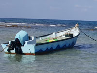 מעגן הדייגים בג'סר א־זרקא / צילום: יותם יעקבסון