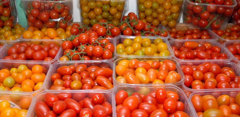 Israeli tomatoes 