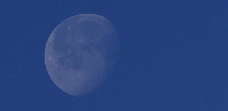 ירח / צילום: רויטרס