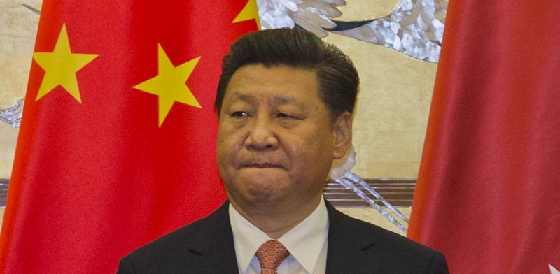 שי ג'ינפינג - נשיא סין / צילום: רויטרס