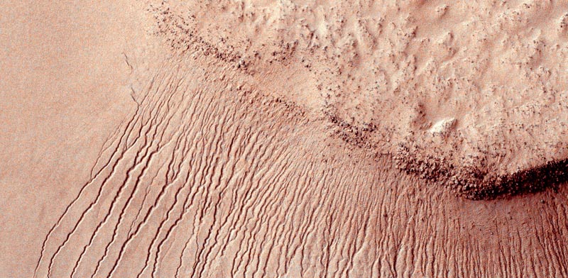 סימני מים על פני כוכב הלכת מאדים / צילום: רויטרס
