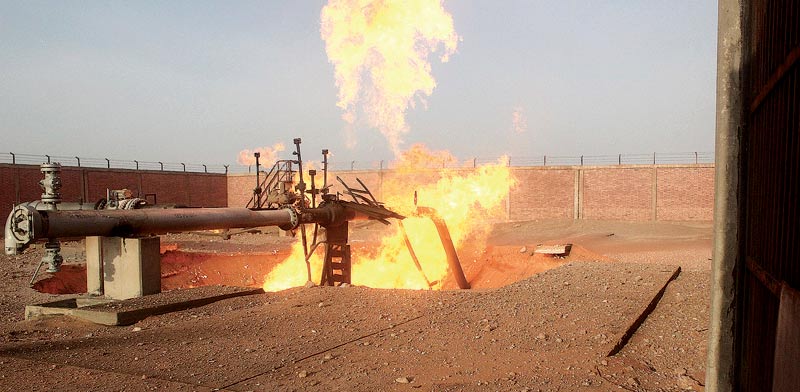 פיצוץ צינור הגז הישראלי-מצרי / צילום: רויטרס