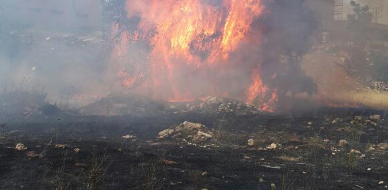 שריפה אילוסטרציה/ צילום: דוברות כבאות והצלה