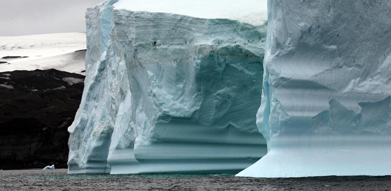 חפש באנטארקטיקה / צילום: תמי בר-לב