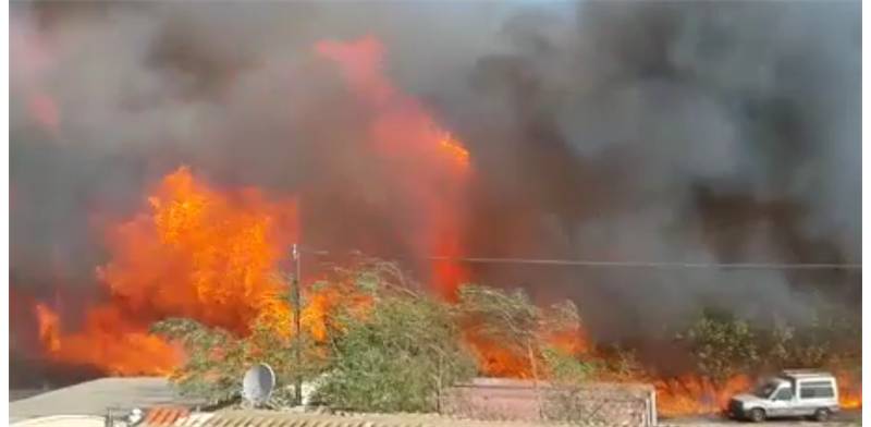 השריפה בחיפה (צילום מסך)