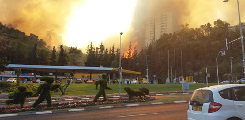 שריפה בחיפה / צילום : משה טובי