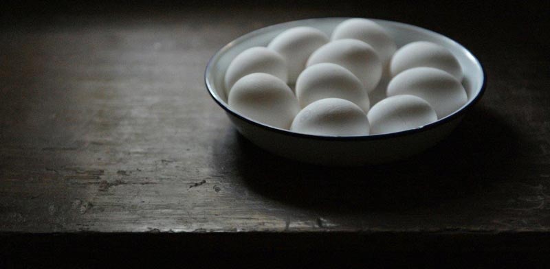 ביצים הזרקת דיו על נייר ארכיבי 30X40/ צילום: אסנת בן דב