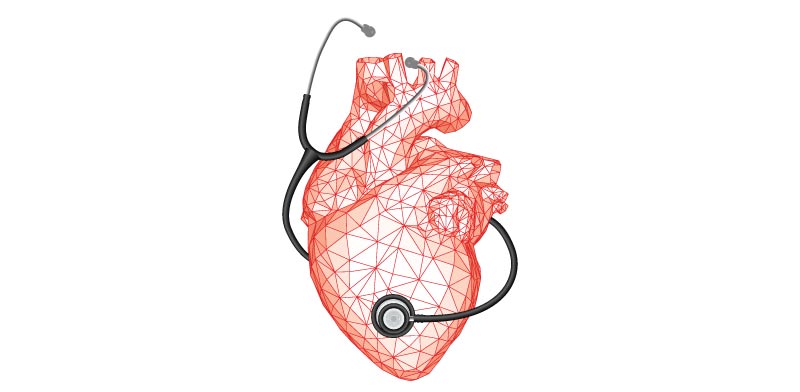 Heart, photo: Shutterstock/ASAP Creative
