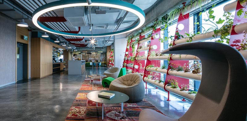  פאנאיה / צילום: עוזי פורת