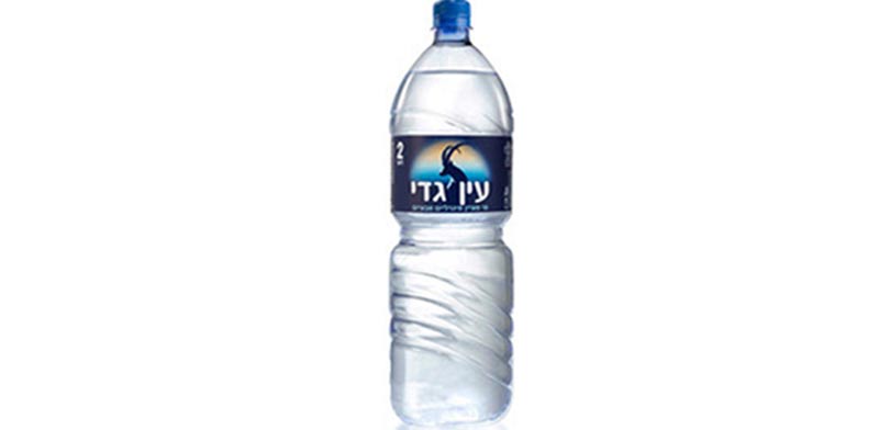 Заказать воду орск. Израильская минеральная вода. Орская минеральная вода. Ein Gedi вода. Израильская минеральная вода с натрием.