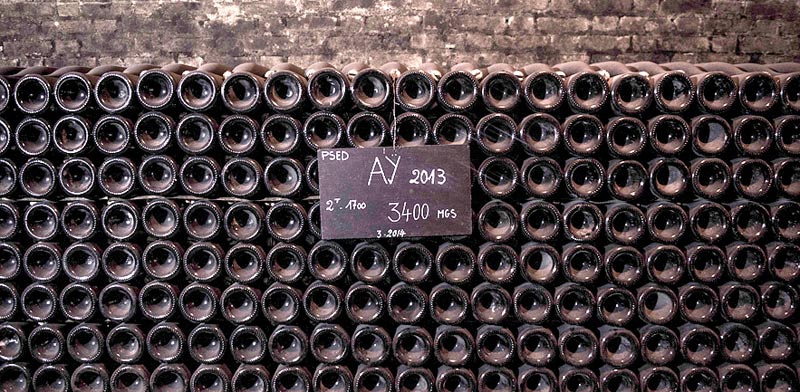 מרתף יינות בחבל שמפאן   / צילום: | Shutterstock | א.ס.א.פ קריאייטיב