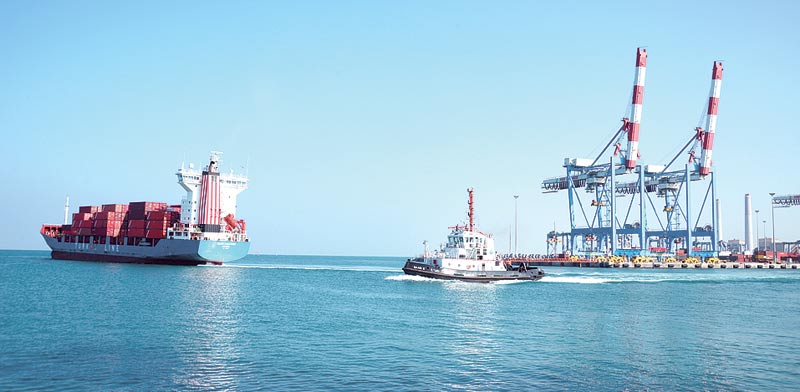 גוררת ואוניית מטען בנמל אשדוד / צילום: איל יצהר