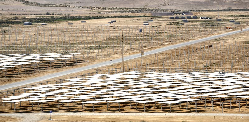 שדה סולארי בערבה / צילום: רויטרס