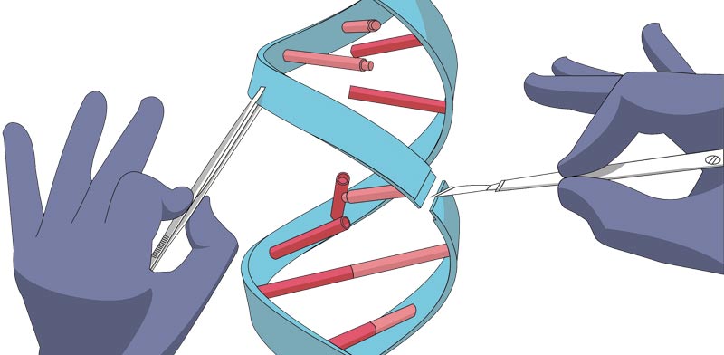 DNA, גנים / איור: Shutterstock