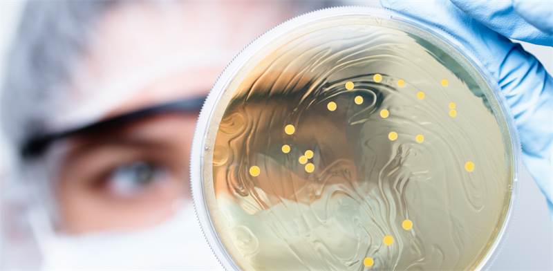 probiotics, antibiotics, clinical trial, bacteria  image: Shutterstock