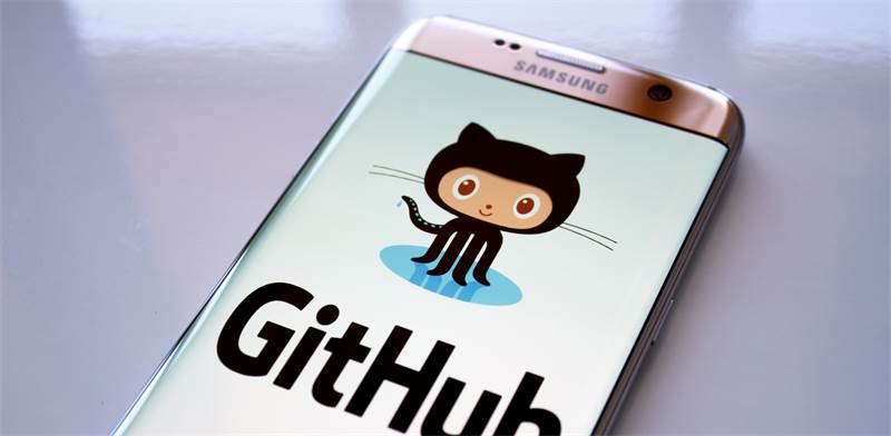 פלטפורמת GitHub על טלפון חכם / צילום: SHUTTERSTOCK