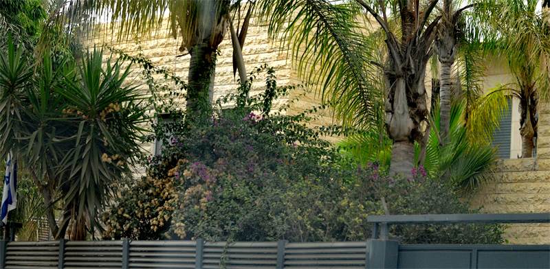 בית ראש הממשלה נתניהו בקיסירה / צילום: גיל ארבל