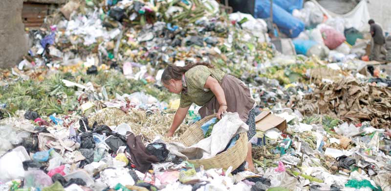 Waste food  photo: Reuters