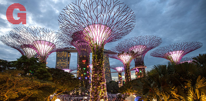 Gardens by the Bay, סינגפור, הגן בלילה /  צילום: Shutterstock | א.ס.א.פ קריאייטיב
