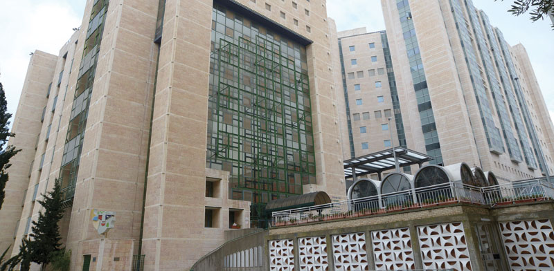 בית חולים הדסה עין כרם מגדל אישפוז / צילום: איל יצהר