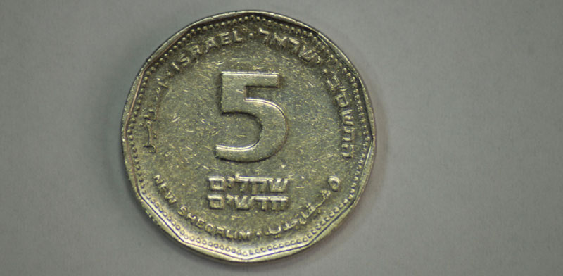 מטבע של 5 שקלים / צילום: תמר מצפי