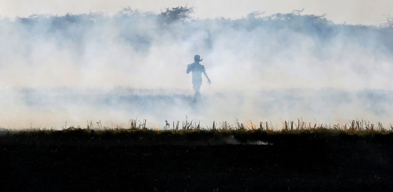 קרקעות שרופות וענני עשן בצפון הודו. / צילום: רויטרס - Amit Dave