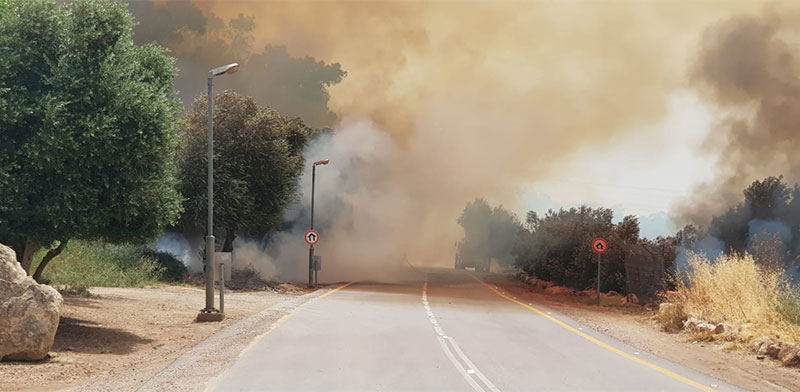 שריפות ענק בכפר אוריה, גיזו, ויער הנשיא